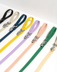 Durable Pet Leash – Comfortable & Secure Walking Lead