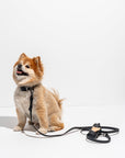 Adjustable Pet Collar – Durable & Comfortable for Dogs & Cats