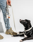 Adjustable Pet Collar – Durable & Comfortable for Dogs & Cats