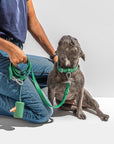 Adjustable Pet Collar – Durable & Comfortable for Dogs & Cats