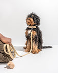 Adjustable Pet Collar – Durable & Comfortable for Dogs & Cats