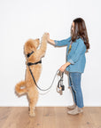 Poop Bag Carrier – Portable Dog Waste Bag Holder