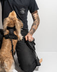 Adjustable Pet Harness – Comfortable & Secure for Dogs & Cats