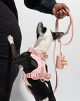 Adjustable Pet Harness – Comfortable & Secure for Dogs & Cats