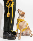 Poop Bag Carrier – Portable Dog Waste Bag Holder