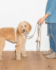 Durable Pet Leash – Comfortable & Secure Walking Lead