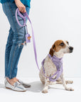 Adjustable Pet Harness – Comfortable & Secure for Dogs & Cats