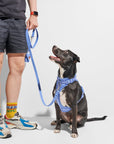 Durable Pet Leash – Comfortable & Secure Walking Lead