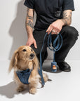 Adjustable Pet Harness – Comfortable & Secure for Dogs & Cats