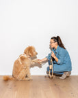 Durable Pet Leash – Comfortable & Secure Walking Lead