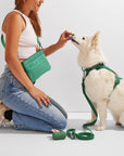 Treat Pouch - Pawhearth