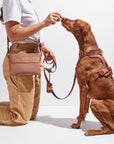 Treat Pouch – Convenient Pet Training Snack Bag