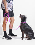 Durable Pet Leash – Comfortable & Secure Walking Lead