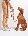 Durable Pet Leash – Comfortable & Secure Walking Lead