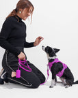Adjustable Pet Harness – Comfortable & Secure for Dogs & Cats