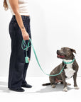 Adjustable Pet Collar – Durable & Comfortable for Dogs & Cats