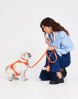 Durable Pet Leash – Comfortable & Secure Walking Lead