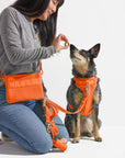 Treat Pouch – Convenient Pet Training Snack Bag