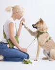 Adjustable Pet Harness – Comfortable & Secure for Dogs & Cats