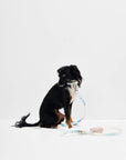 Durable Pet Leash – Comfortable & Secure Walking Lead