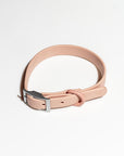 Adjustable Pet Collar – Durable & Comfortable for Dogs & Cats
