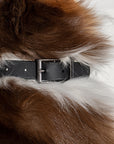 Adjustable Pet Collar – Durable & Comfortable for Dogs & Cats