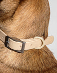 Adjustable Pet Collar – Durable & Comfortable for Dogs & Cats