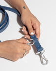 Durable Pet Leash – Comfortable & Secure Walking Lead