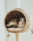 Bird Nest Cat Tree - Pawhearth