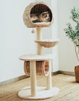 Bird Nest Cat Tree - Pawhearth