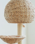 Bird Nest Cat Tree - Pawhearth