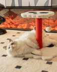 Gothic Design Cat Scratcher - Pawhearth