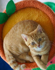 Fruit World Cat Tree - Pawhearth