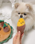 Sweet Potato Interactive Dog Puzzle Toy Set – Fun & Engaging