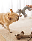 Animal Squeaky Plush Dog Toy – Soft, Fun & Interactive Chew Toy