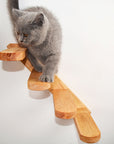 Cat Climbing Platform - Pawhearth