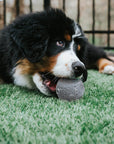 Cosmos Feeder Training Ball Dog Toy – Interactive Feeding & Training Toy