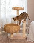 Sleeping in the Bowl Cat Tree - Pawhearth