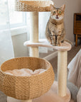 Sleeping in the Bowl Cat Tree - Pawhearth