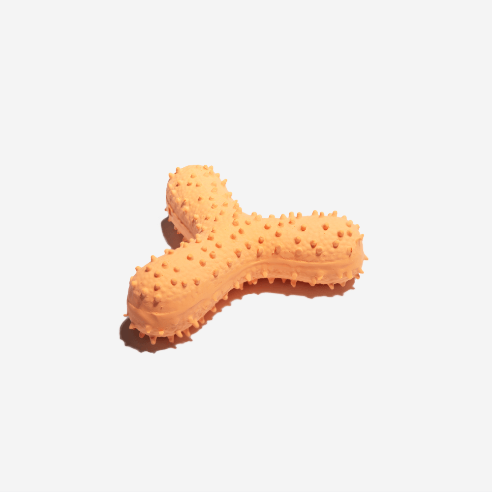 Cactus Shaped Squeaky Dog Toy – Fun &amp; Durable Interactive Chew Toy