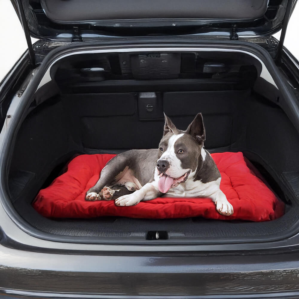 Waterproof Foldable Outdoor Dog Travel Mat – Durable &amp; Easy to Carry