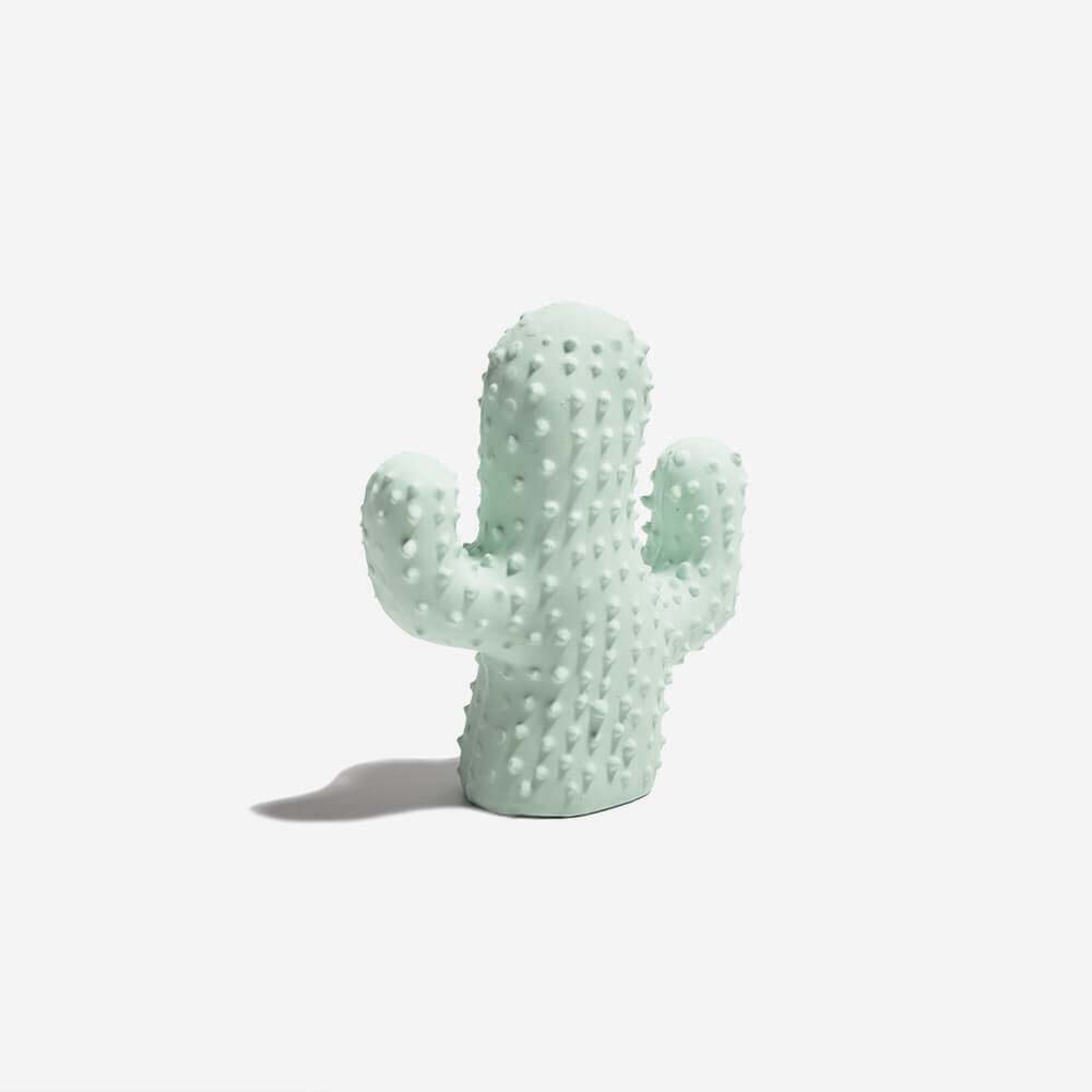Cactus Shaped Squeaky Dog Toy – Fun &amp; Durable Interactive Chew Toy