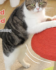 Mushroom Cat Claw Post - Hemp Wrap, Small and Medium-sized Cats, No Assembly Required🍄🍄 - Pawhearth