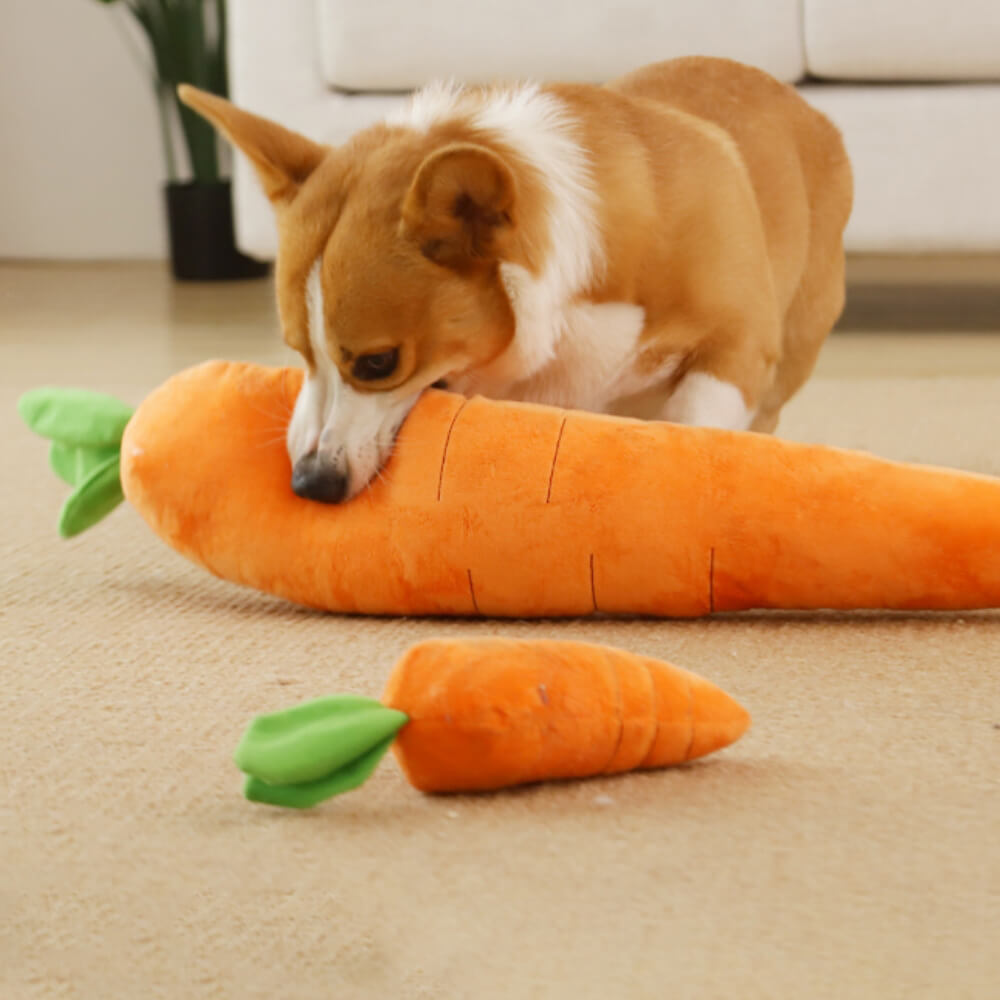 Carrot Squeaky Plush Dog Toy – Interactive &amp; Fun Chew Toy for Dogs
