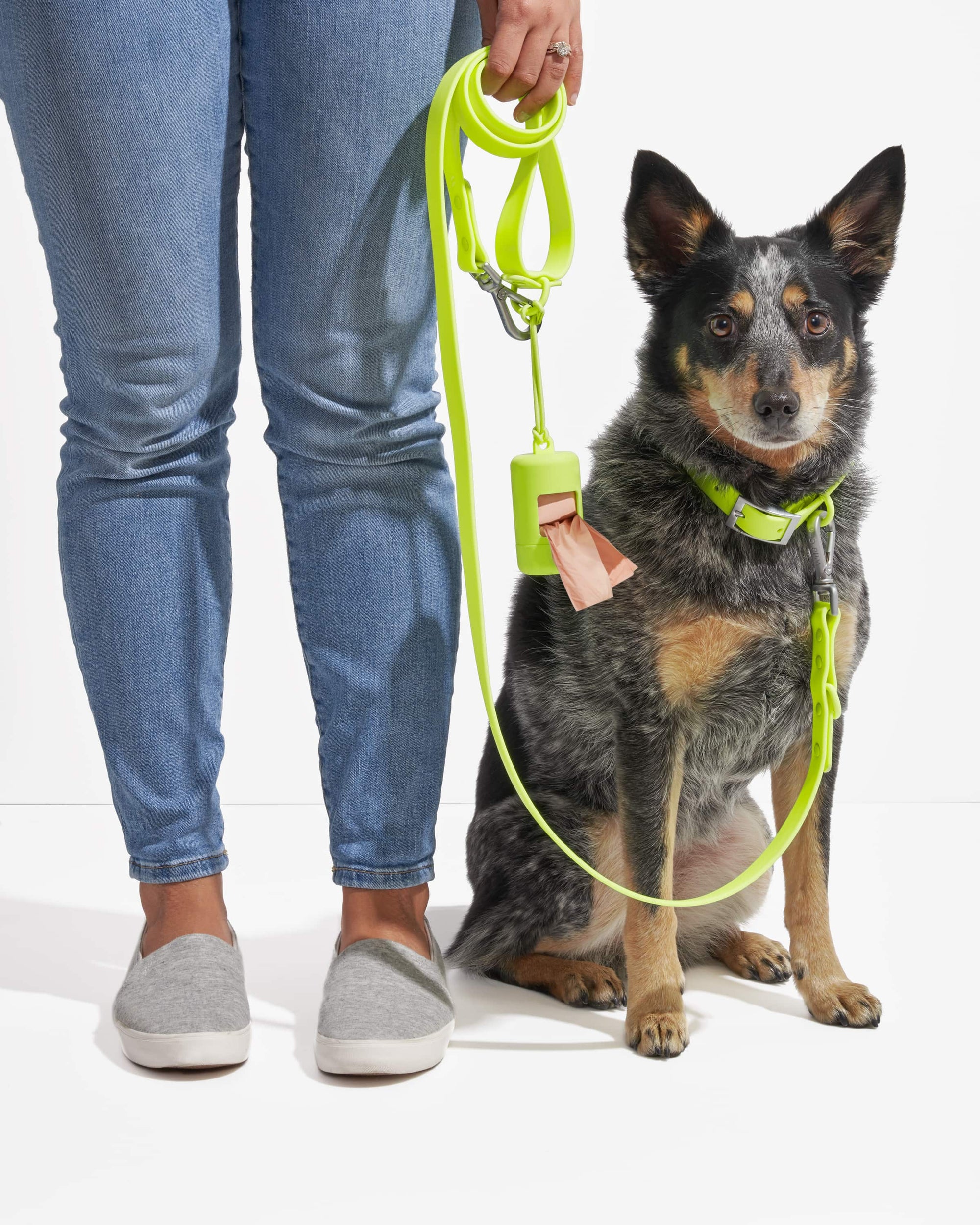 Adjustable Pet Collar – Durable &amp; Comfortable for Dogs &amp; Cats
