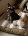 Deluxe-Hundebett aus gestreiftem Plüsch mit Kissen