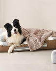 Deluxe-Hundebett aus gestreiftem Plüsch mit Kissen
