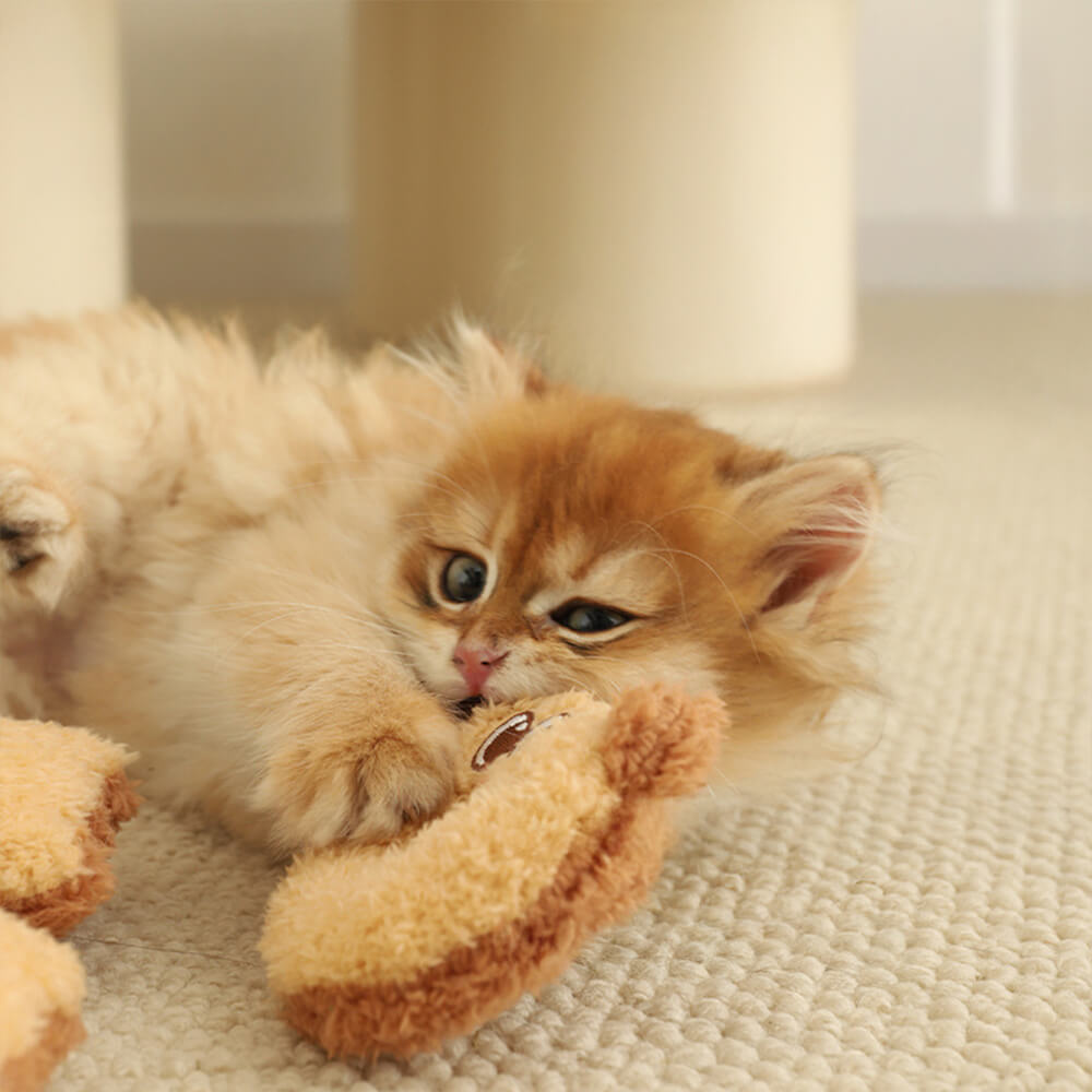 Baked Treats Plush Interactive Cat Toy Set – Fun &amp; Playful