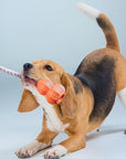 Durable Cotton Rope Interactive Tug Dog Toy