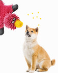Plush Durable Chew Resistant Interactive Rope Dog Toy